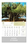 KALENDARI-2026 MASLINE VELJAČA